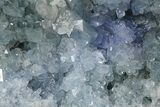 Sparkly Celestine (Celestite) Geode - Madagascar #237678-2